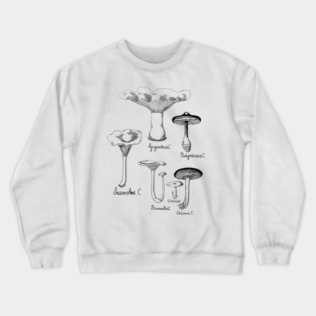 Wild Mushroom | For Fungi Foraging Fungiphiles Crewneck Sweatshirt by encycloart